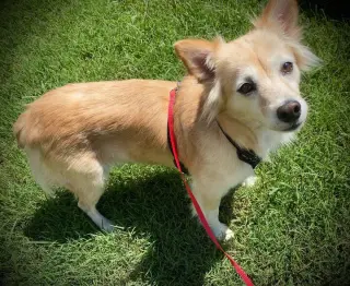Sadie May 26 Bonded to Peanut May 26
