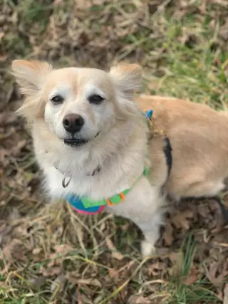Sadie May 26 Bonded to Peanut May 26