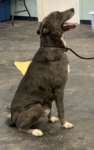 Sebastian