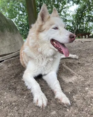 Mia