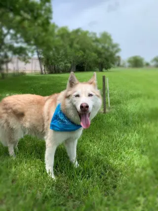 Mia