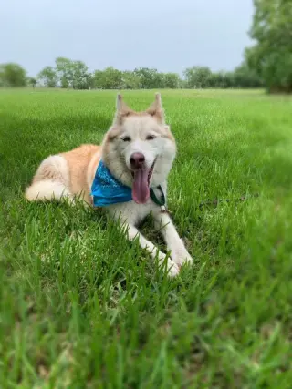Mia