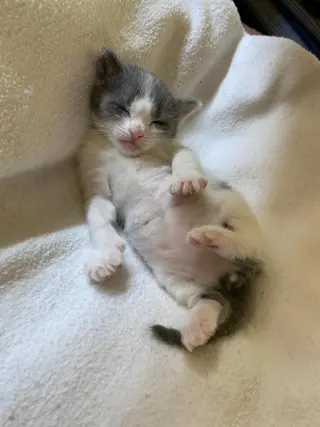 Cloud