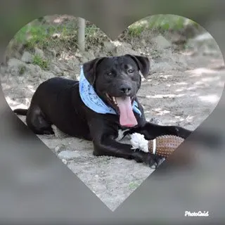 Choco