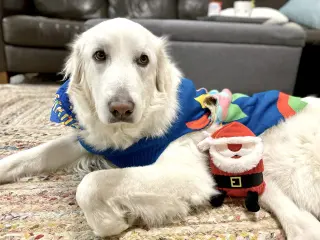 Howie