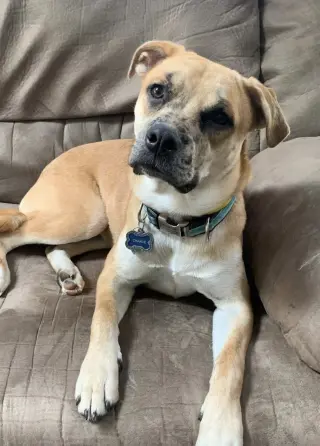 Lyle