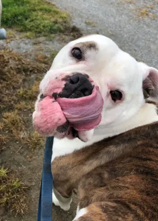 Daisy Mae