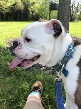 Daisy Mae