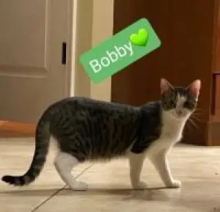 Bobby