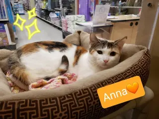 Anna