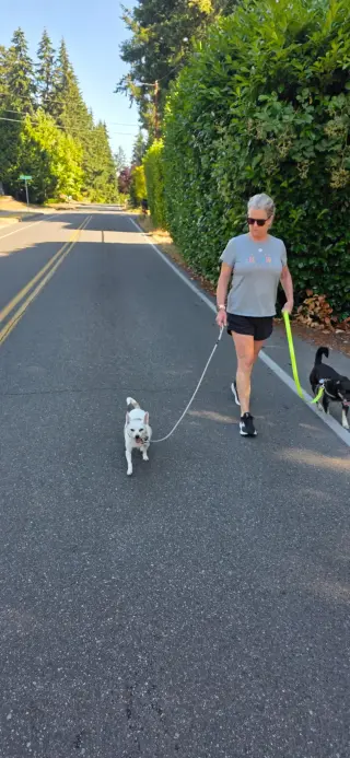 Lulu