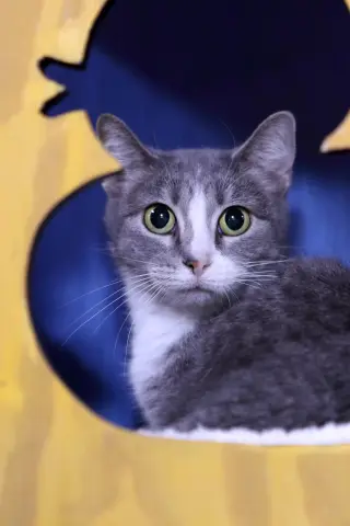Greta
