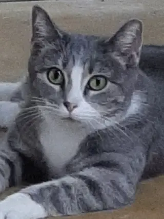 Greta