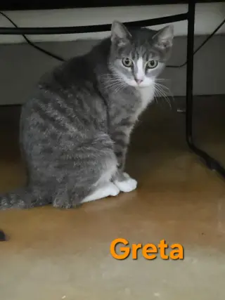 Greta