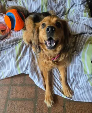 Penny in RI