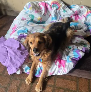 Penny in RI