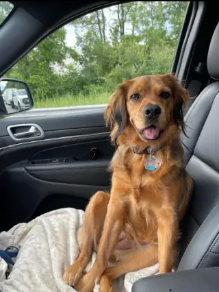 Penny in RI