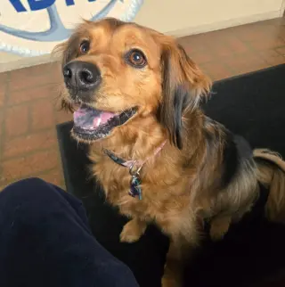 Penny in RI