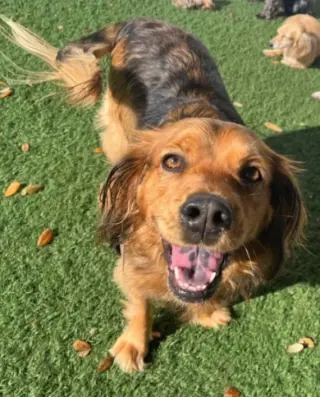 Penny in RI