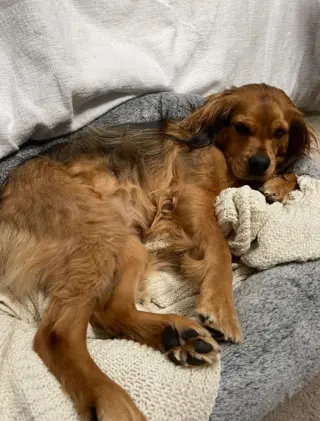 Penny in RI