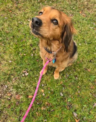 Penny in RI