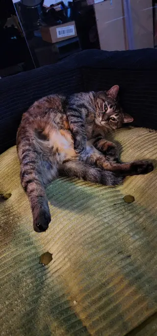 Delilah