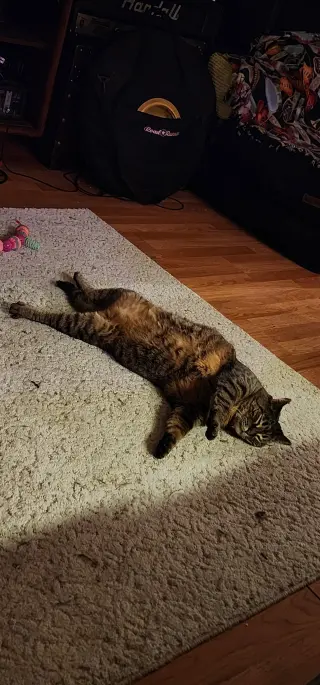 Delilah