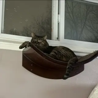 Delilah