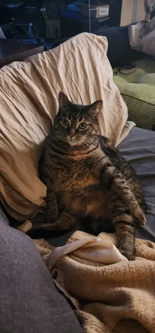 Delilah