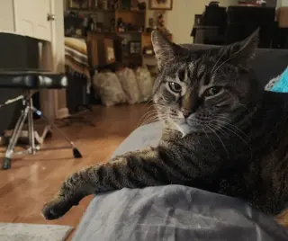 Delilah