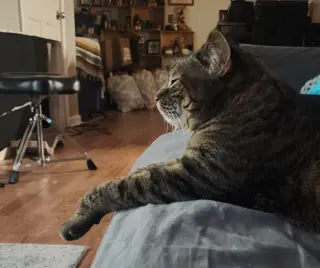 Delilah