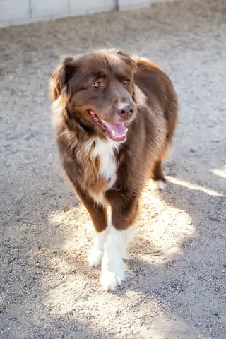 JACK