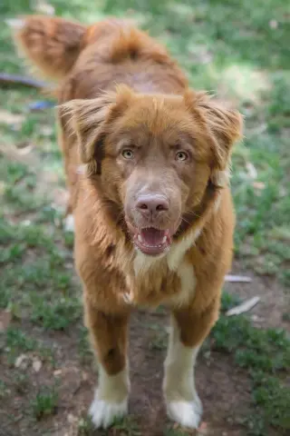 JACK