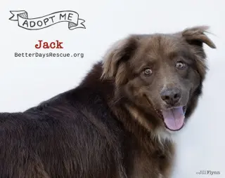 JACK