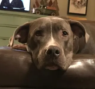 Fiona