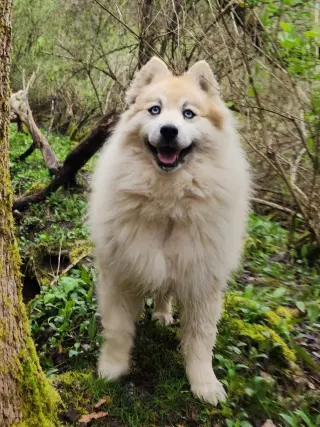 Bear Kendall