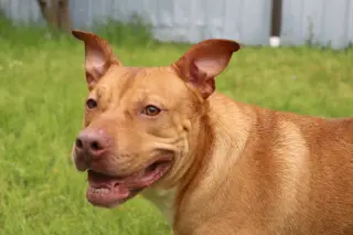 Winnie J