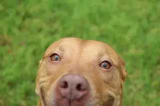 Winnie J