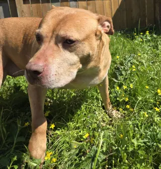 Winnie J