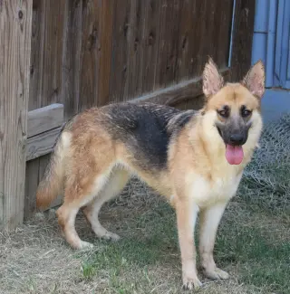Callie Mae