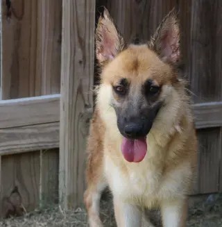 Callie Mae