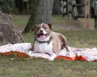 FERGAL aka RAMBO