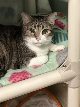 Nip