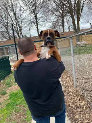 Tyson - ADOPTION PENDING!!