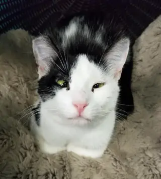Mae Mae