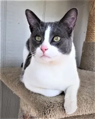 Ben