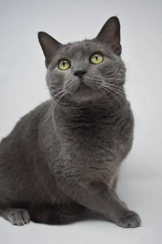 Carla