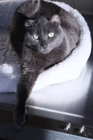 OLI