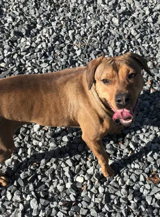 Teagan