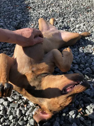 Teagan